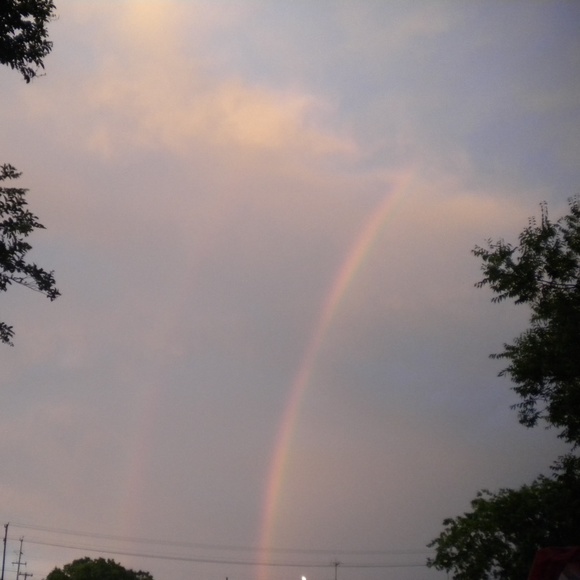 Meet your Posher, Dee - Picture 3 of 8